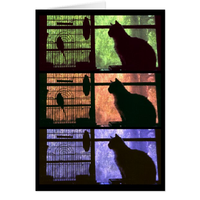 Le chat et l'oiseau - Carte (Devant)