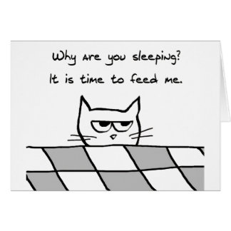 Le chat fâché vous veut hors du lit