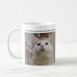 Le chat officiel de la tasse des Etats-Unis
