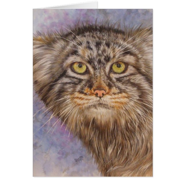 Le chat Pallas de Berry (Devant)