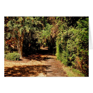 Le chemin
