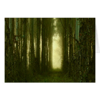 Le chemin vers mon coeur