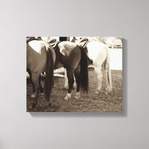 Le cheval aboute la photo de toile