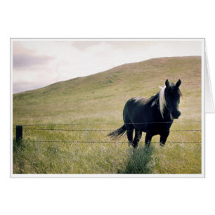 Le Cheval de Peinture