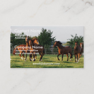 Le cheval sauvage arrondissent le carte de visite