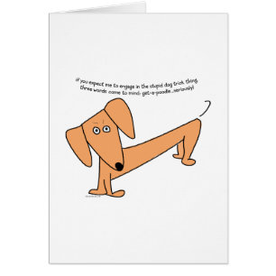 Le chien stupide de teckel dupe… pour des caniches