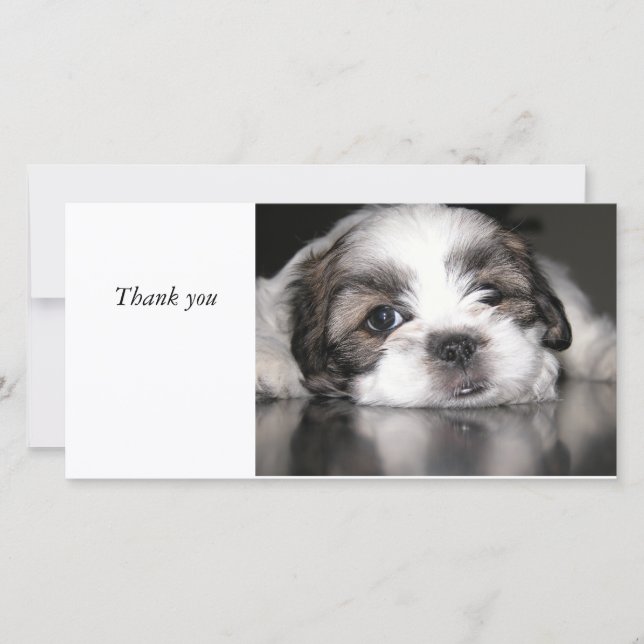 le chiot le plus mignon jamais, Merci (Devant)