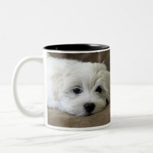 Le chiot observe la tasse faite sur commande
