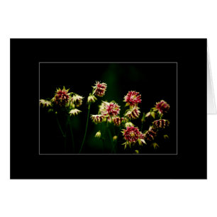 Le choeur de ressort