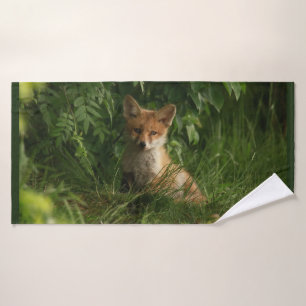 Le chou renard dans une forêt verte