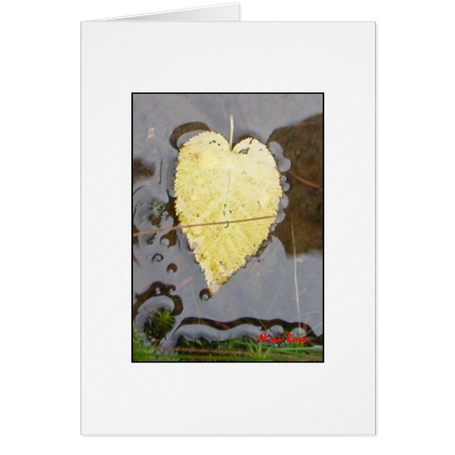 Le coeur de la nature (Devant)