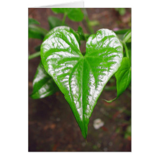 le coeur des choses...