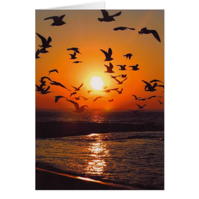 Le coucher du soleil du lac Érié (Devant)