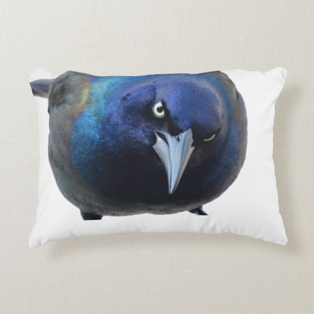Le coussin de Grackle (Devant)
