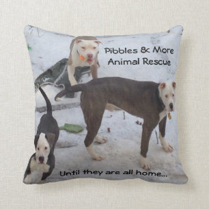 Le COUSSIN de PMAR, Adopt ne font pas des