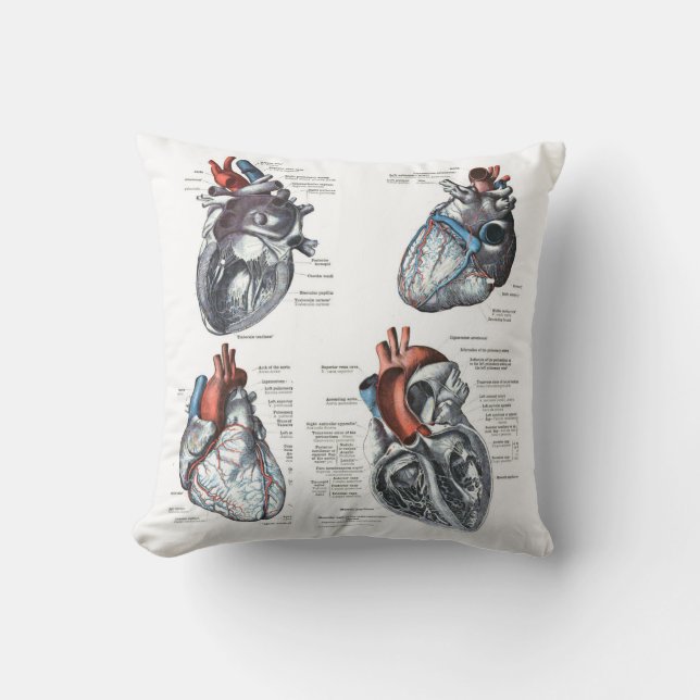 le coussin du cardiologue (Recto)