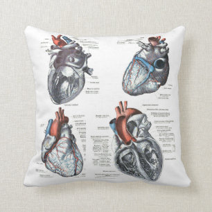 le coussin du cardiologue