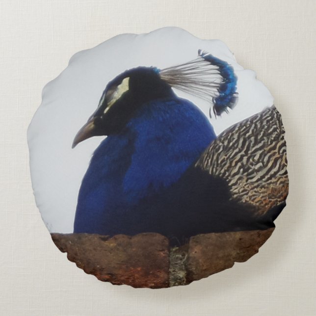 Le Coussin rond du mur (Dos)