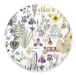 Le cru français de Nouveau d'art fleurit le bouton