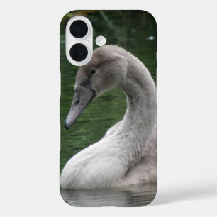 Le cygne gracieux sur le coque iphone d'eau