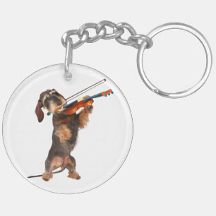 Le Dachshund À poils durs Jouant Un Violon
