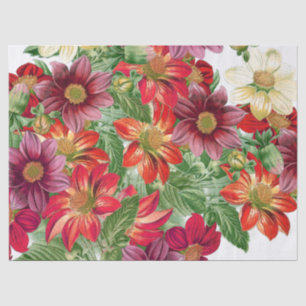 Le dahlia botanique fleurit le papier de soie de