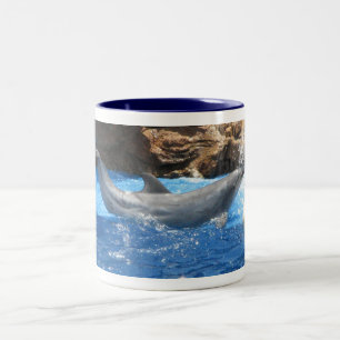 Le dauphin dupe la tasse de café