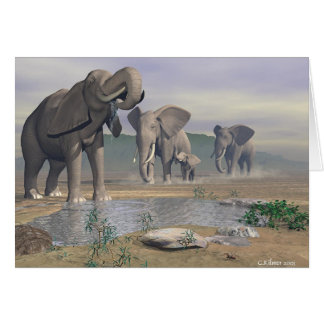 Le dernier abreuvoir