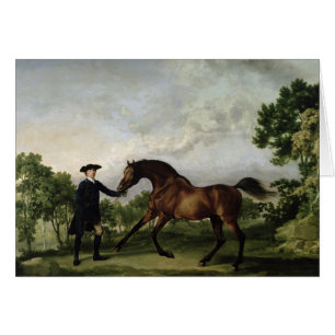 Le duc de l'étalon "blanc " de la baie d'Ancaster