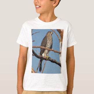 Le faucon du tonnelier badine le T-shirt