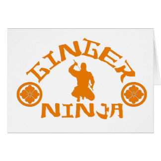 Le Ginger Ninja