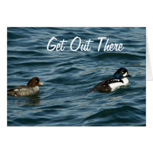 Le Goldeneye se penche là