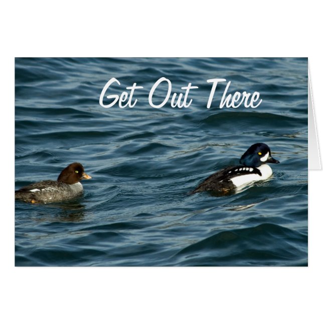 Le Goldeneye se penche là (Devant horizontal)