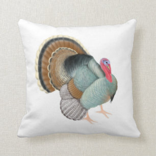 Le grand coussin sauvage de la Turquie