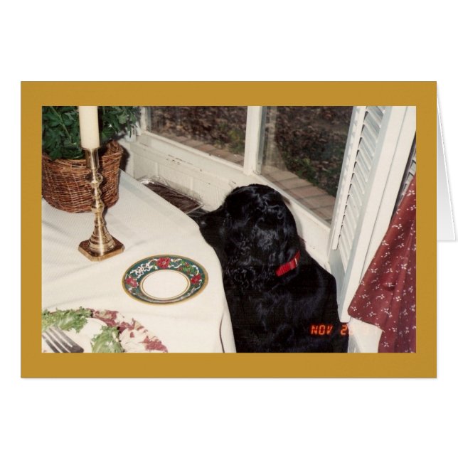 le grand poulet du morceau o (Devant Horizontal)