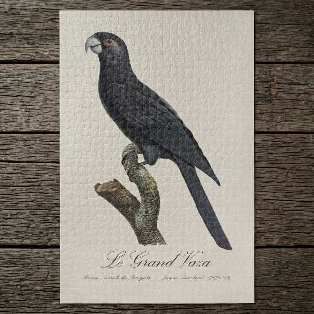 Le Grand Vaza / Greater Vasa Parrot (Greater Vasa Parrot, Coracopsis Vasa Illustration. Jigsaw Puzzle)