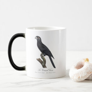 Le Grand Vaza / Greater Vasa Parrot Verwandlungstasse