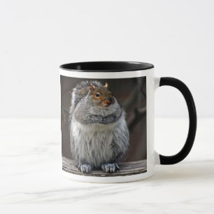 Le gros écureuil "a obtenu des écrous ?" Tasse