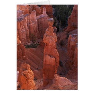 Le hoodoo Thor's Hammer sur Navajo Trail