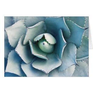 Le jardin botanique de Huntington