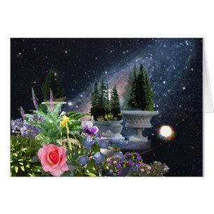 Le jardin de Tommy