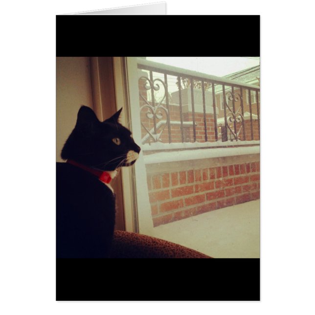 Le Jour de la Neige de Lucy (Devant)