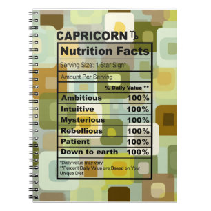 🐐 Le Journal de l'Architecte : Édition Capricorne