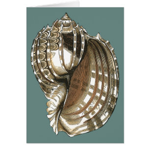 Le joyau de l'océan