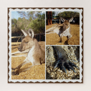 Le Kangaroo Picture Collage, Jigsaw Puzzle