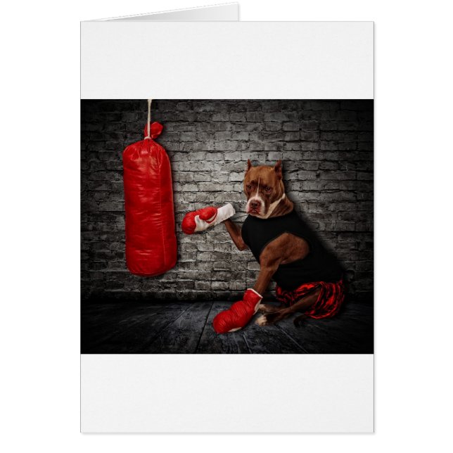 Le kit de boxe (Devant)