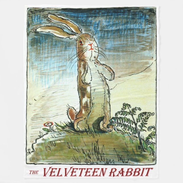 Le lapin de velventine - couverture (Devant)
