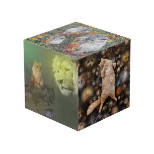 Le Lion Et Le Chat, Plus Amis, Cube Photo