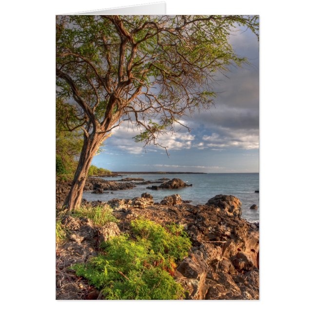 Le littoral de Maui (Devant)