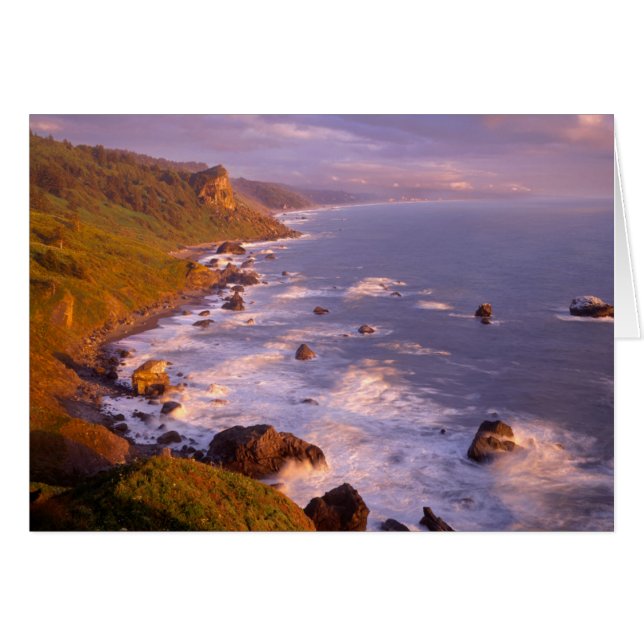Le littoral des séquoias, Californie (Devant horizontal)